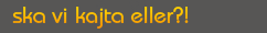 ska vi kajta eller!?